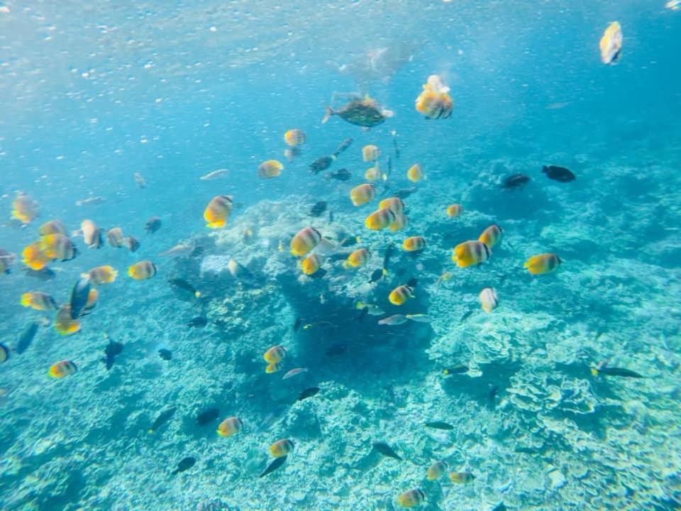 Sealovers' Place Masasa Beach Batangas Екстер'єр фото