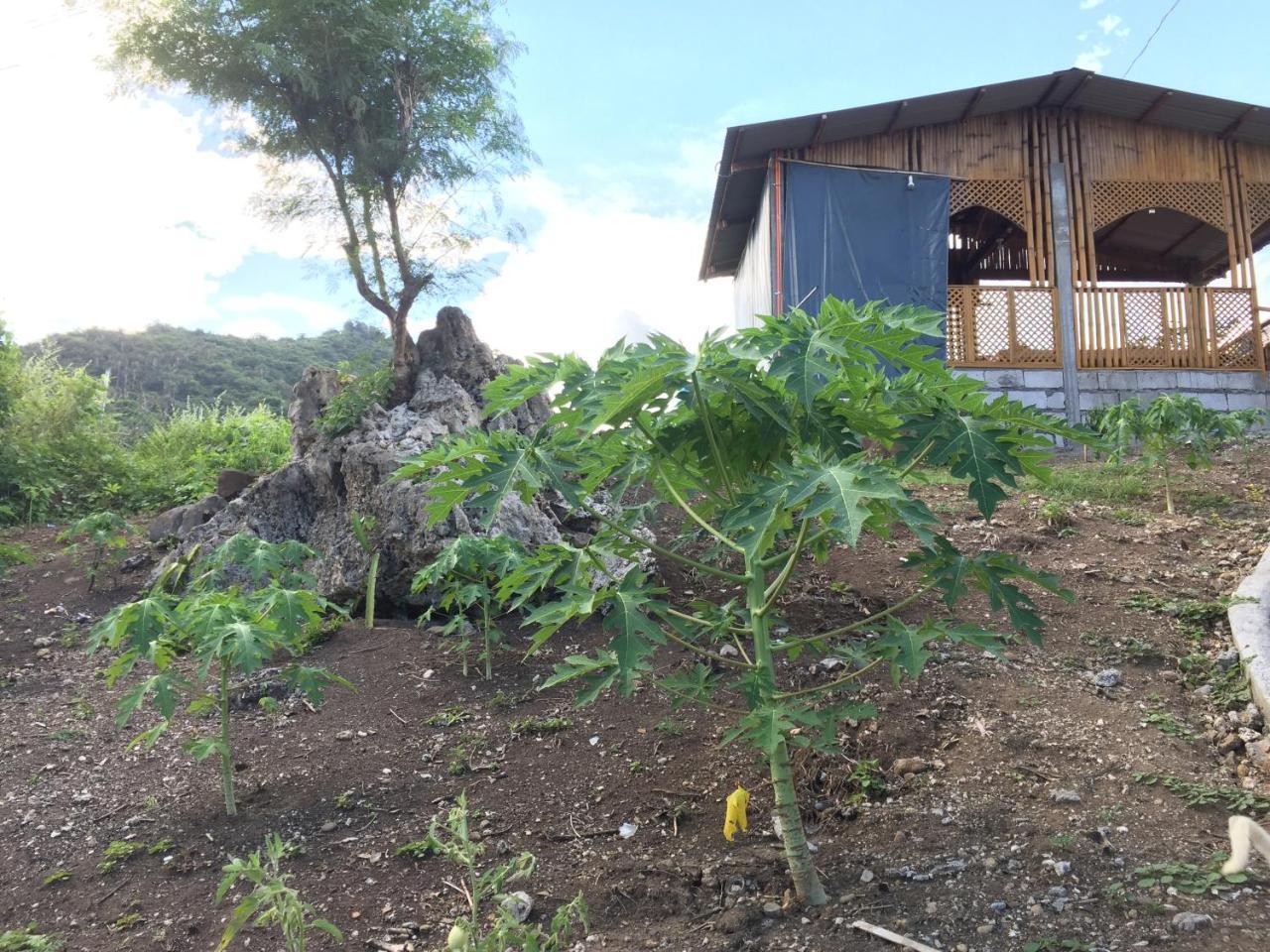 Sealovers' Place Masasa Beach Batangas Екстер'єр фото